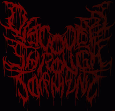 logo Discovery Through Torment
